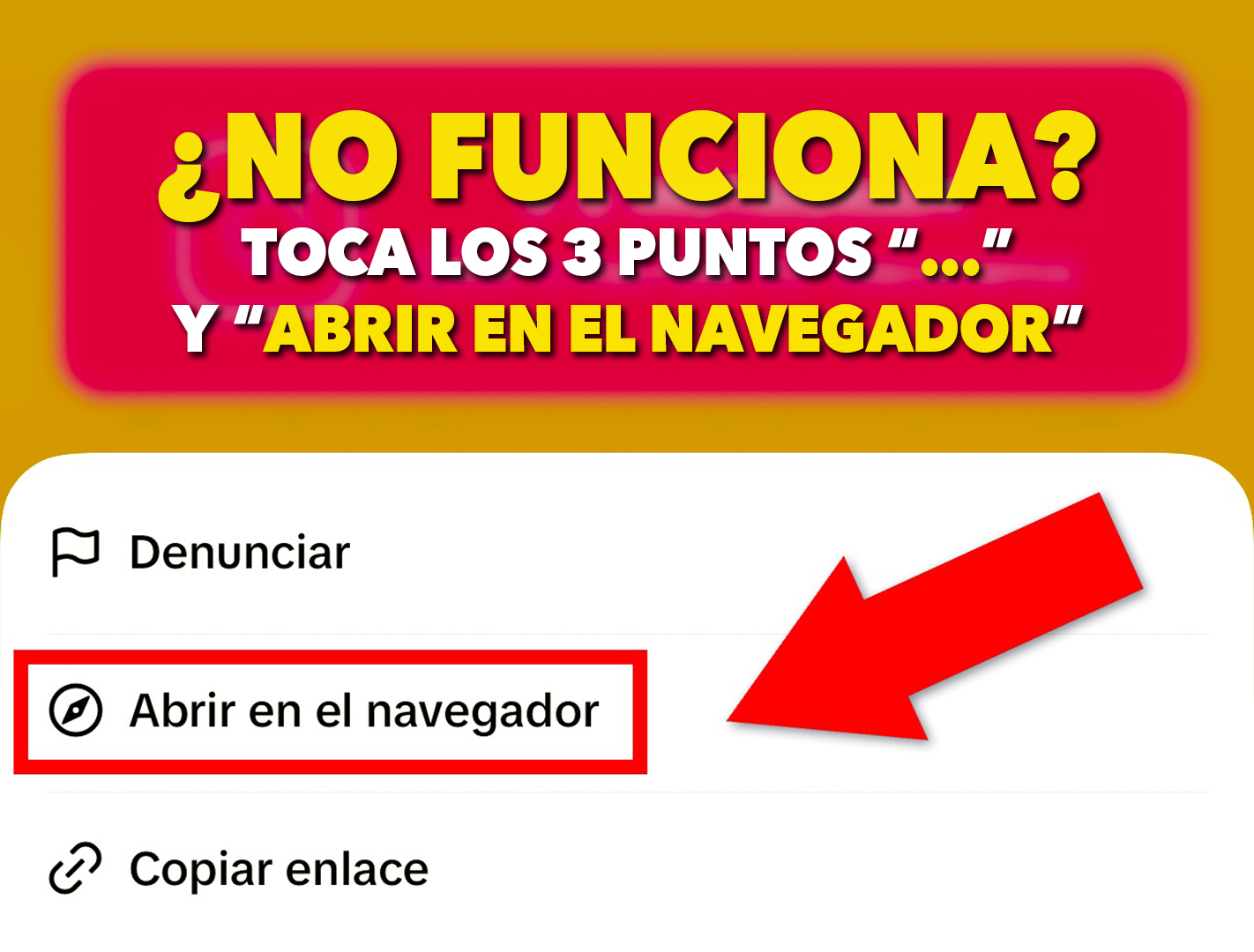 Instrucciones
